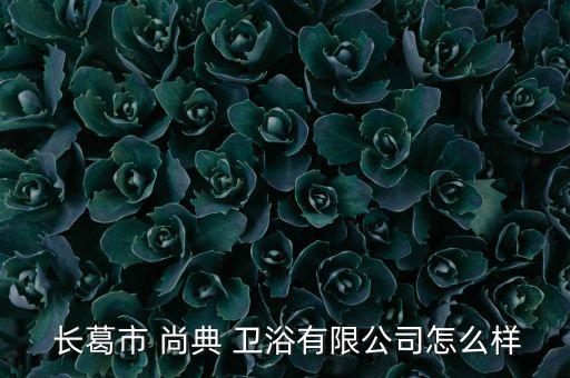 長葛尚典衛(wèi)浴,長葛city尚典衛(wèi)浴有限公司查看更多信息