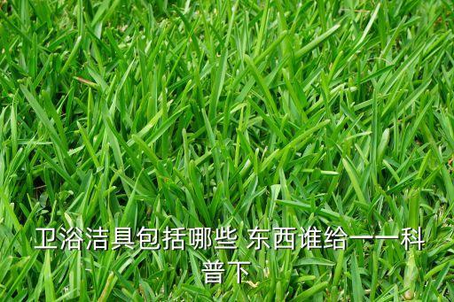 衛(wèi)浴有哪些東西,衛(wèi)生間需要哪些東西?一文看懂