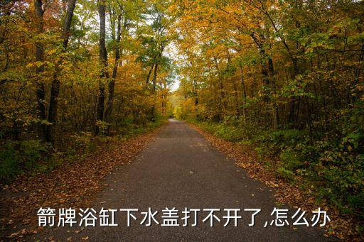  箭牌浴缸下水蓋打不開了,怎么辦