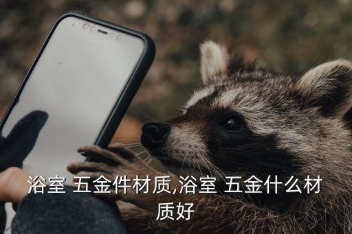 浴室 五金件材質(zhì),浴室 五金什么材質(zhì)好