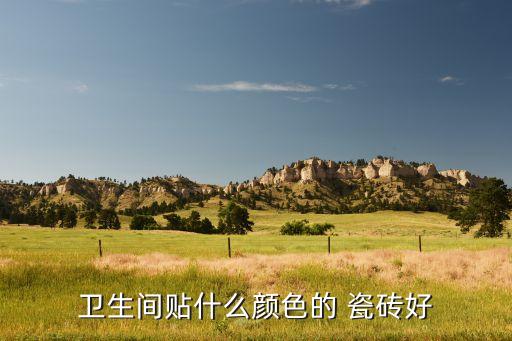 衛(wèi)生間貼什么顏色的 瓷磚好