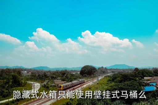  隱藏式水箱只能使用壁掛式馬桶么