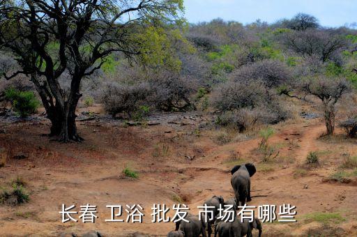 遼寧最大衛(wèi)浴批發(fā)市場(chǎng),長(zhǎng)春衛(wèi)浴-1市場(chǎng)有何不同?