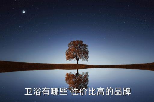  衛(wèi)浴有哪些 性價比高的品牌