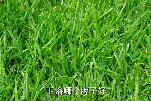  衛(wèi)浴哪個牌子好