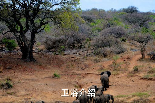 衛(wèi)浴歐式風(fēng)格怎樣,衛(wèi)浴知多少?問(wèn)與答（13）