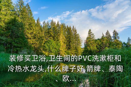 裝修買衛(wèi)浴,衛(wèi)生間的PVC洗漱柜和冷熱水龍頭,什么牌子好,箭牌、泰陶、歐...