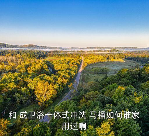 和成衛(wèi)浴馬桶價格表,馬桶怎么選?看看這里!