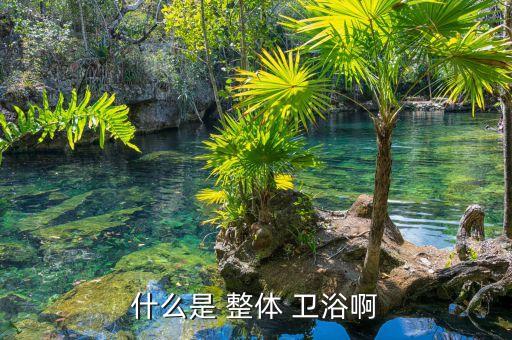 什么是 整體 衛(wèi)浴啊