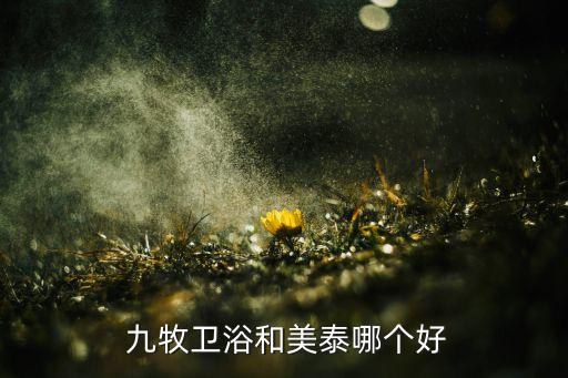 九牧衛(wèi)浴廣告詞,比起九牧衛(wèi)浴來，美泰衛(wèi)浴算得上悠久
