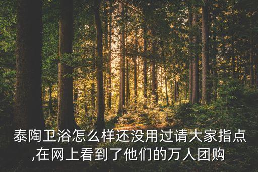 泰陶衛(wèi)浴是哪里生產(chǎn)的,三最大廁所相繼上馬泰陶:有一定知名度