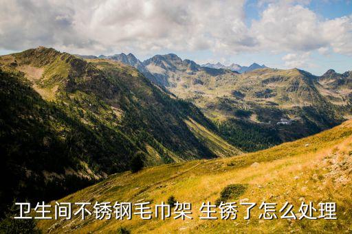 衛(wèi)浴五金生銹了怎么辦,衛(wèi)生間不銹鋼毛巾架生銹怎么辦?