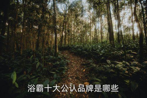 歐尚衛(wèi)浴好不好,如何選擇合適的浴霸?