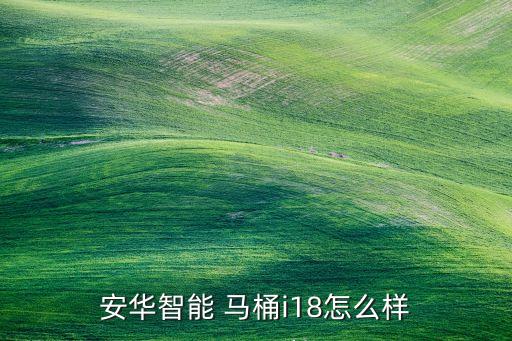 安華智能 馬桶i18怎么樣
