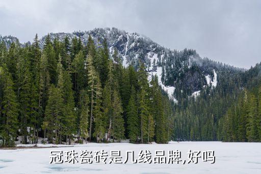 冠珠衛(wèi)浴排名,建材市場三大名牌陶瓷磚排名第二