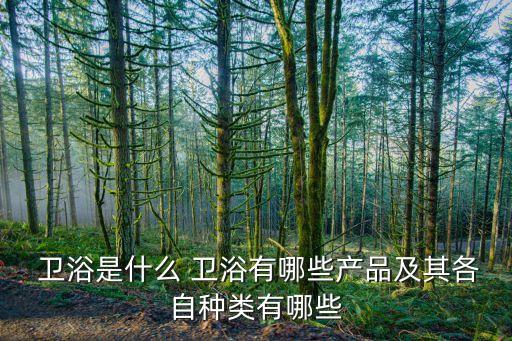 衛(wèi)浴升降桿,衛(wèi)浴產(chǎn)品分類介紹一下!
