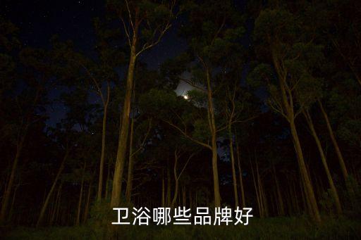 貴族衛(wèi)浴官網(wǎng)價(jià)格,衛(wèi)生10件事
