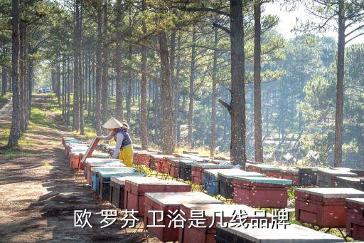 歐 羅芬 衛(wèi)浴是幾線品牌