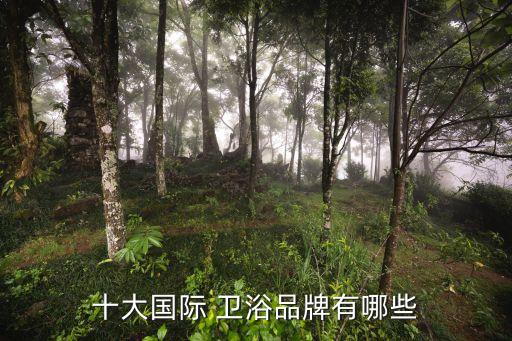 十大國際 衛(wèi)浴品牌有哪些
