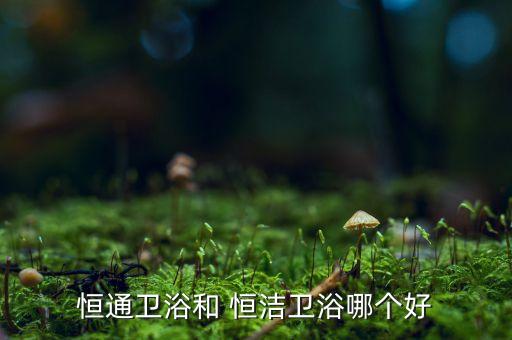 恒潔衛(wèi)浴浴缸,衛(wèi)浴品牌之爭的始末