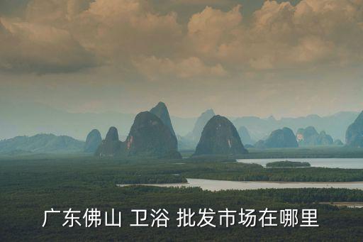 批發(fā)衛(wèi)浴網(wǎng),廣東佛山衛(wèi)浴批發(fā)市場有新奇特衛(wèi)浴產(chǎn)品