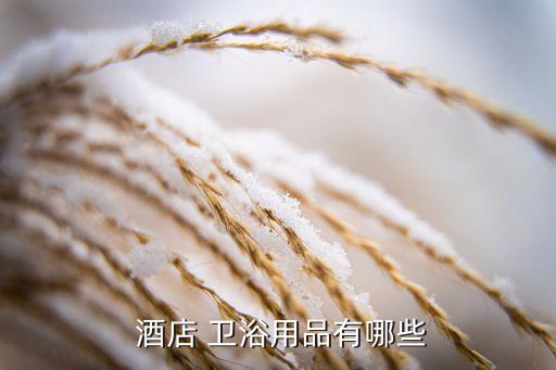 酒店整體衛(wèi)浴,馬桶衛(wèi)浴采用專(zhuān)業(yè)防水底盤(pán)不存在漏水問(wèn)題