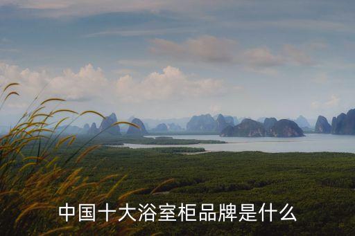 海之龍整體衛(wèi)浴,2011年十大淋浴房品牌排行榜出爐!