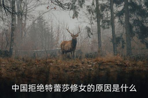 中國拒絕特蕾莎修女的原因是什么