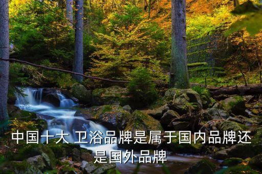 中國十大 衛(wèi)浴品牌是屬于國內(nèi)品牌還是國外品牌