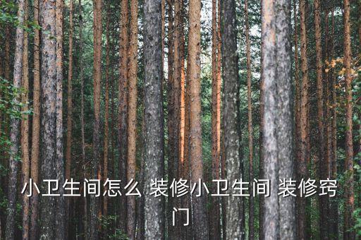 衛(wèi)浴店面裝修效果圖,衛(wèi)生間裝修攻略:不貼瓷磚也能裝修好