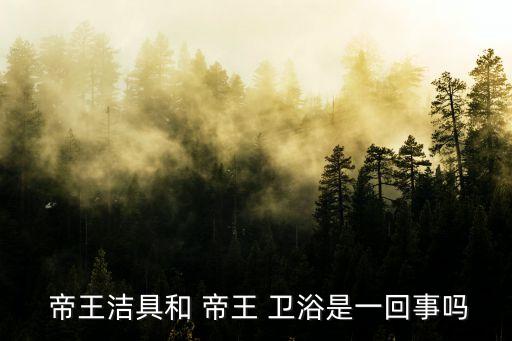  帝王潔具和 帝王 衛(wèi)浴是一回事嗎