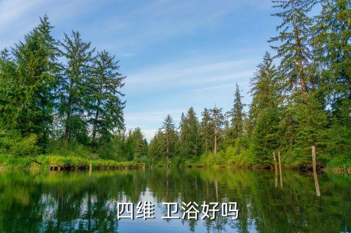  四維 衛(wèi)浴好嗎
