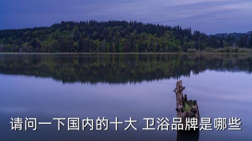 請問一下國內(nèi)的十大 衛(wèi)浴品牌是哪些