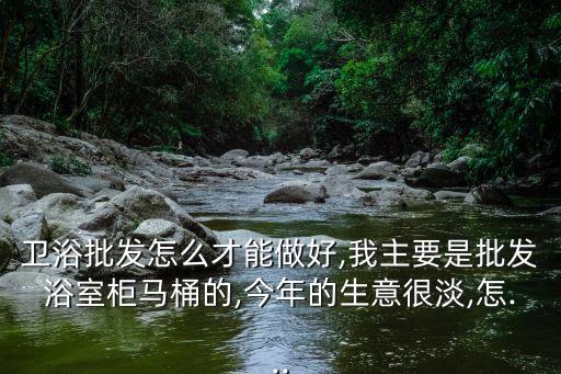 衛(wèi)浴批發(fā)怎么才能做好,我主要是批發(fā)浴室柜馬桶的,今年的生意很淡,怎...