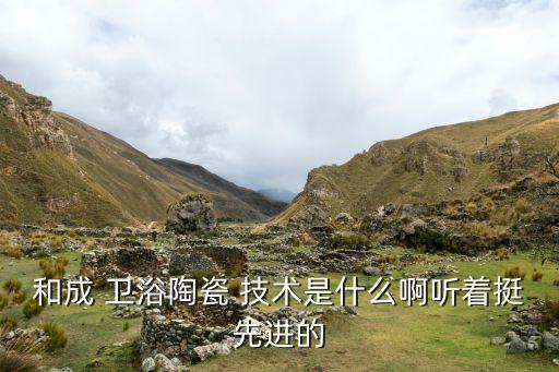 和成 衛(wèi)浴陶瓷 技術(shù)是什么啊聽著挺先進的