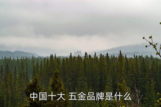大連五金衛(wèi)浴,中國(guó)十大品牌衛(wèi)浴五金