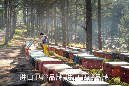 朗彩衛(wèi)浴怎么樣,本地衛(wèi)浴品牌之間差別