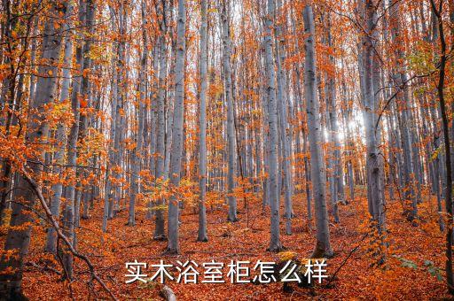 實(shí)木浴室柜怎么樣