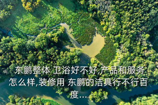  東鵬整體 衛(wèi)浴好不好,產(chǎn)品和服務(wù)怎么樣,裝修用 東鵬的潔具行不行百度...