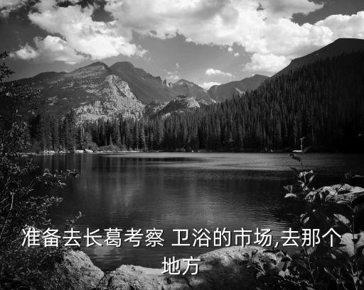 牧野 衛(wèi)浴,我也做衛(wèi)浴!長葛衛(wèi)浴歡迎您的到訪
