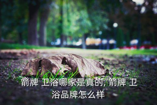  箭牌 衛(wèi)浴哪家是真的, 箭牌 衛(wèi)浴品牌怎么樣