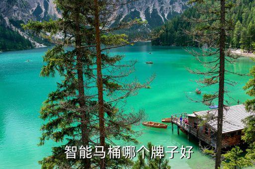  智能馬桶哪個牌子好