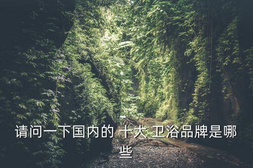 請(qǐng)問(wèn)一下國(guó)內(nèi)的 十大 衛(wèi)浴品牌是哪些