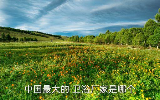 賽維亞衛(wèi)浴,如何挑選合適的衛(wèi)浴產品?