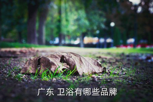  廣東 衛(wèi)浴有哪些品牌