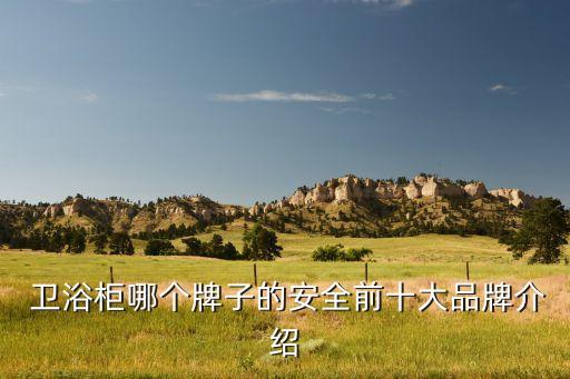  衛(wèi)浴柜哪個(gè)牌子的安全前十大品牌介紹