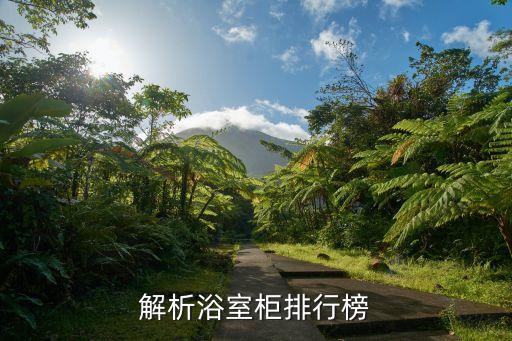 巴洛克衛(wèi)浴是什么意思,對(duì)于奢侈品我推薦巴洛克style