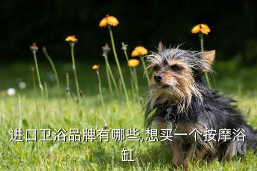 進(jìn)口衛(wèi)浴品牌有哪些,想買一個(gè)按摩浴缸