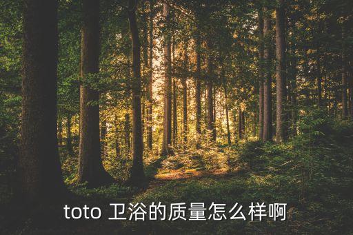 TOTO衛(wèi)浴犯了什么錯(cuò),toto馬桶智能省電節(jié)省時(shí)間