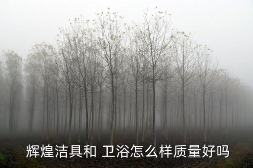 輝煌潔具和 衛(wèi)浴怎么樣質(zhì)量好嗎